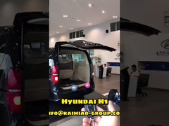 ग्लोबल ऑटोमोटिव आफ्टरमार्केट में डबल पोल के साथ Hyundai H1 ऑटोमैटिक टेलगेट लिफ्ट
